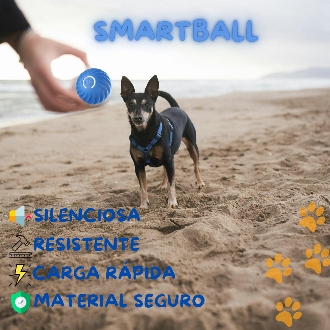 SmartBall 🐾